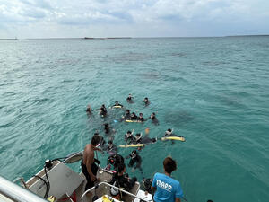 IMG_2356.jpeg
