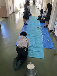 IMG_2114.jpeg