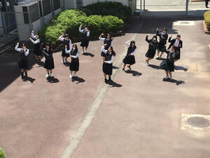 IMG_1522.jpeg