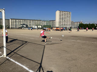 IMG_4255.jpeg