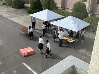 IMG_2101.jpeg