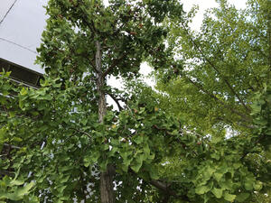 IMG_2108 (2).jpeg