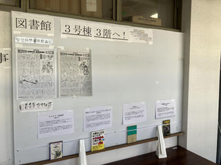 IMG_2058.jpeg