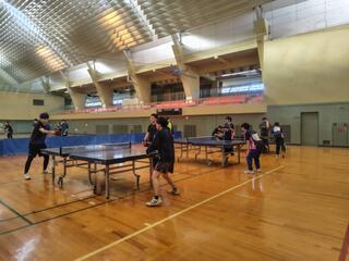 IMG_4240.jpeg