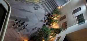 IMG_2409.jpeg