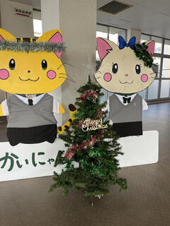 IMG_2387.jpeg
