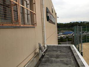 IMG_1702.jpeg
