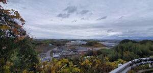 IMG_2826 (2).jpeg