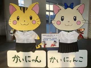 IMG_4436.jpeg