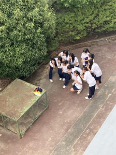 IMG_3558.jpeg