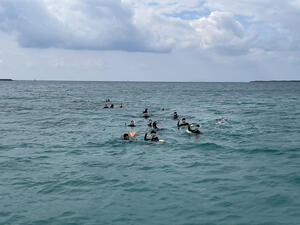 IMG_2355.jpeg