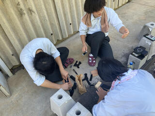 IMG_2233.jpeg