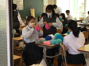 IMG_2049 (2).jpeg