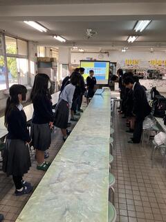 IMG_3227.jpeg