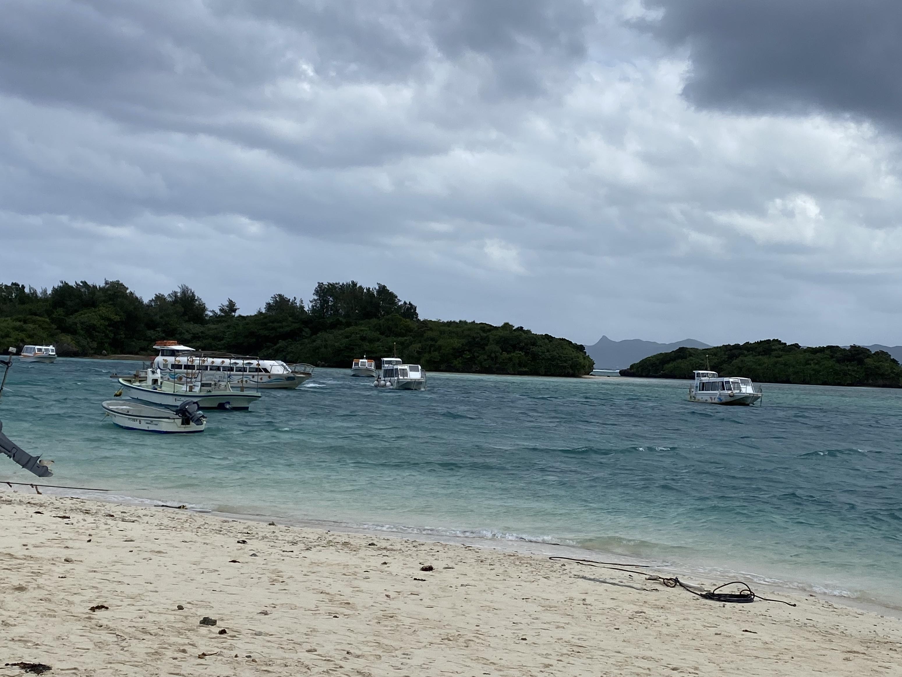 F5875442-141E-402B-870F-27F8A8151FF3.jpeg