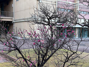 IMG_2989.jpeg