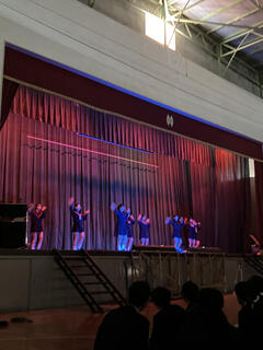 IMG_5950.jpeg