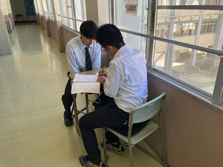 IMG_2113.jpeg