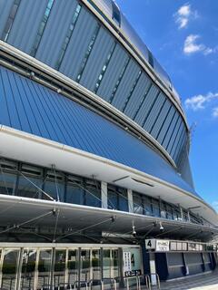 IMG_2266.jpeg