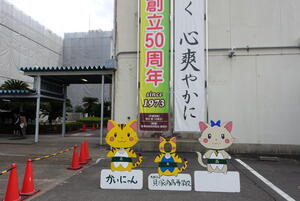 DSC03230.JPG