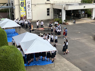 IMG_2354.jpeg