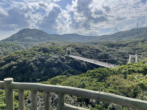 IMG_2372.jpeg