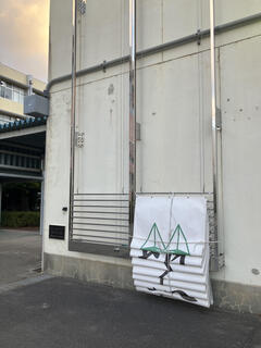 IMG_6353.jpeg