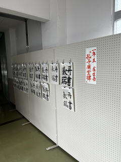 IMG_8304.jpeg