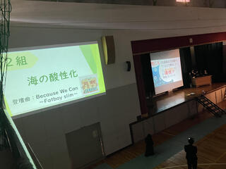 IMG_6386.jpeg