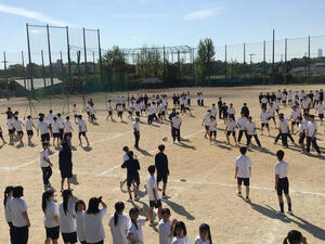 IMG_2097.jpeg