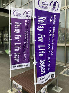 IMG_3375.jpeg