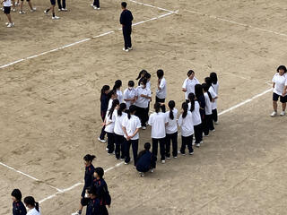 IMG_3465.jpeg