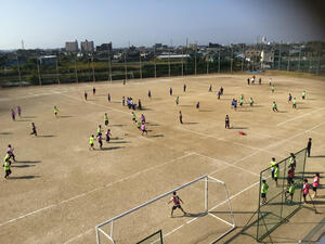 IMG_2124.jpeg