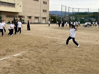 IMG_3487.jpeg