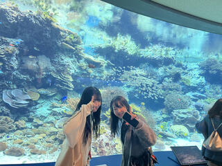 IMG_2962.jpeg