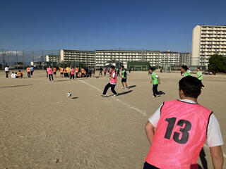 IMG_4241.jpeg