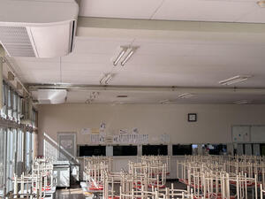 IMG_2008.jpeg