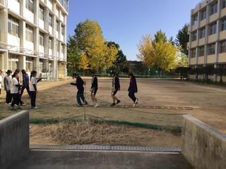 IMG_0691.jpeg