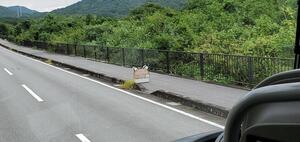 IMG_2362.jpeg