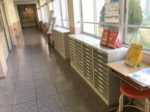 IMG_2146.jpeg