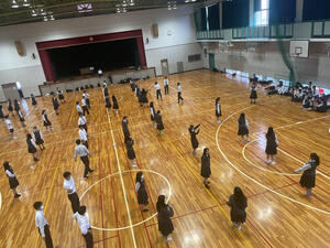 IMG_9826.jpeg
