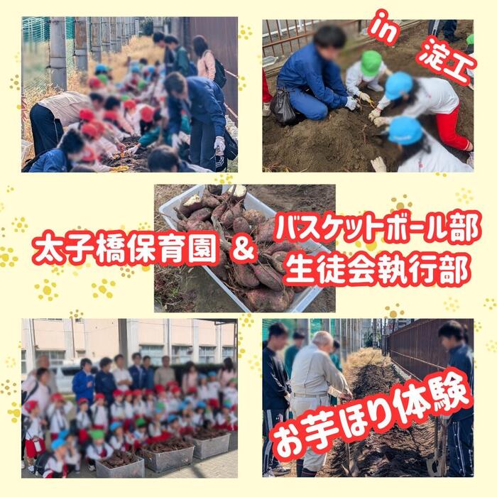 【バスケットボール部&生徒会執行部】 お芋ほり体験 in 淀工を開催しました
