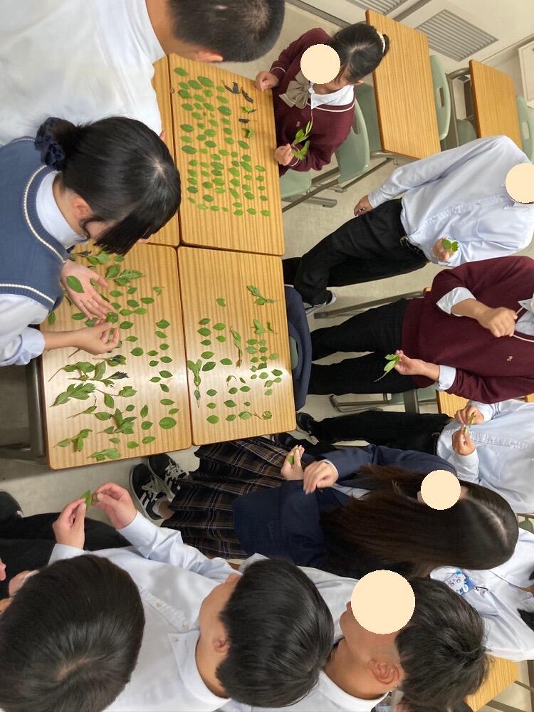 藍選び.jpegのサムネイル画像