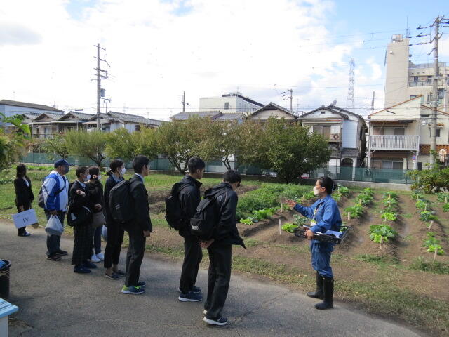 021_学校説明会 (6).JPG