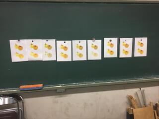 3C5BA433-290D-4321-855C-04680EF0B6C8.jpeg