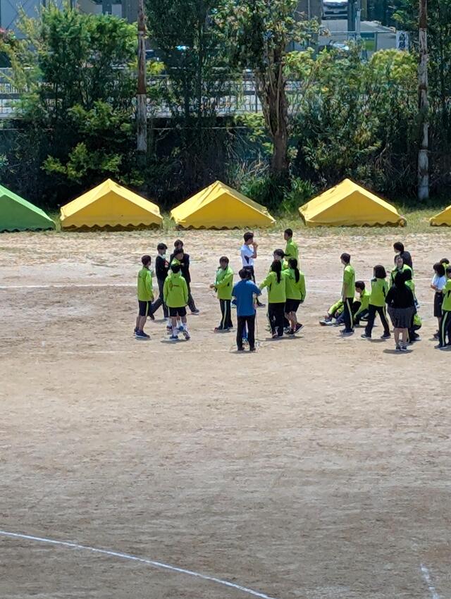 6817.jpg