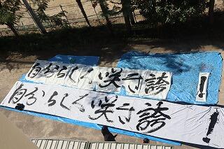 s-20251119 (50).jpg