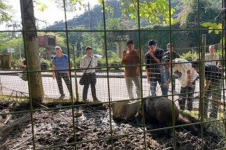 s-20241009沖縄 (9).jpg
