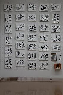 s-20260121 (10).jpg