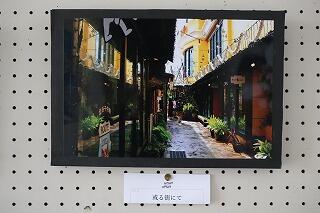 s-20260207 (6).jpg